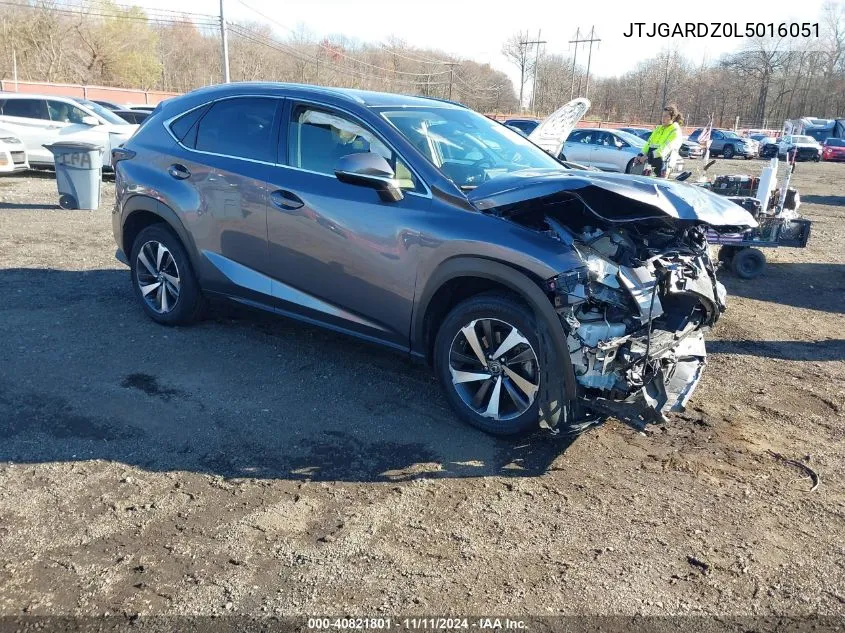 2020 Lexus Nx 300 VIN: JTJGARDZ0L5016051 Lot: 40821801