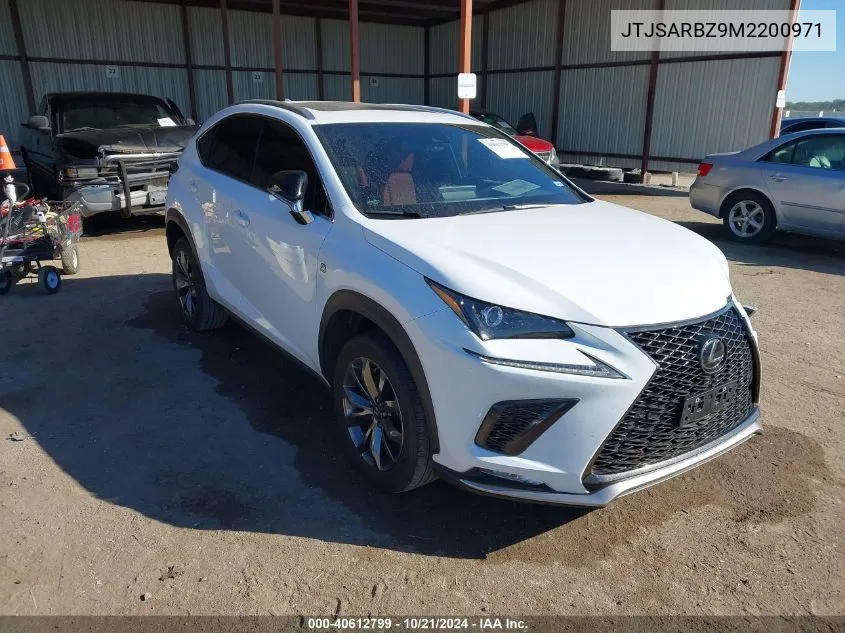 2021 Lexus Nx 300 Base/300 Luxury/300 F VIN: JTJSARBZ9M2200971 Lot: 40612799