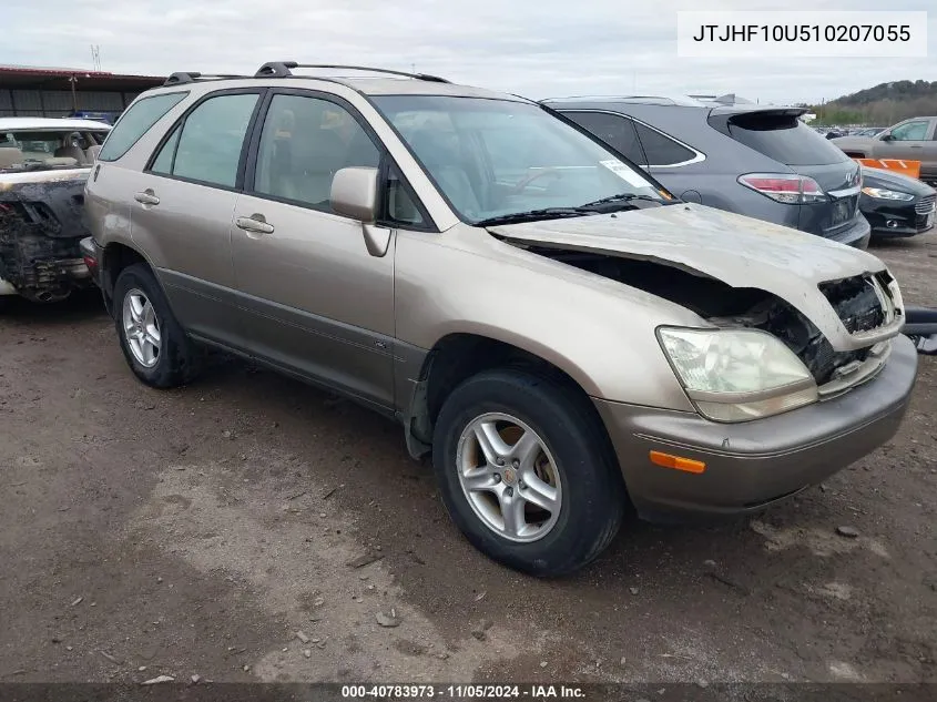 2001 Lexus Rx 300 VIN: JTJHF10U510207055 Lot: 40783973