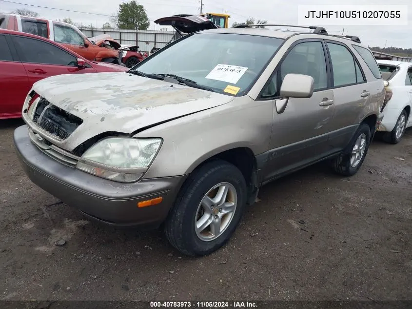 2001 Lexus Rx 300 VIN: JTJHF10U510207055 Lot: 40783973