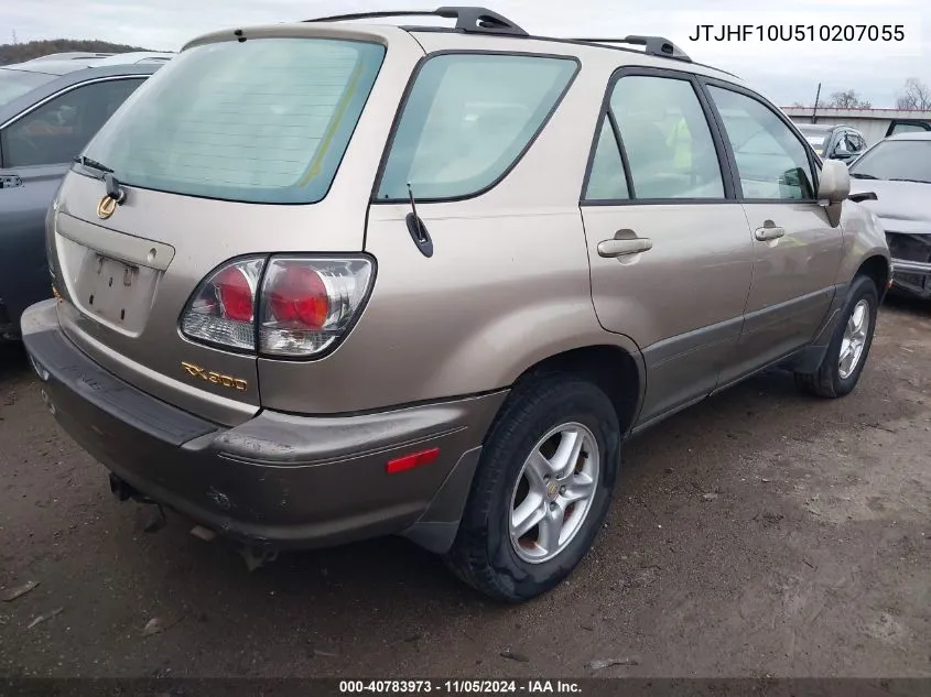 2001 Lexus Rx 300 VIN: JTJHF10U510207055 Lot: 40783973