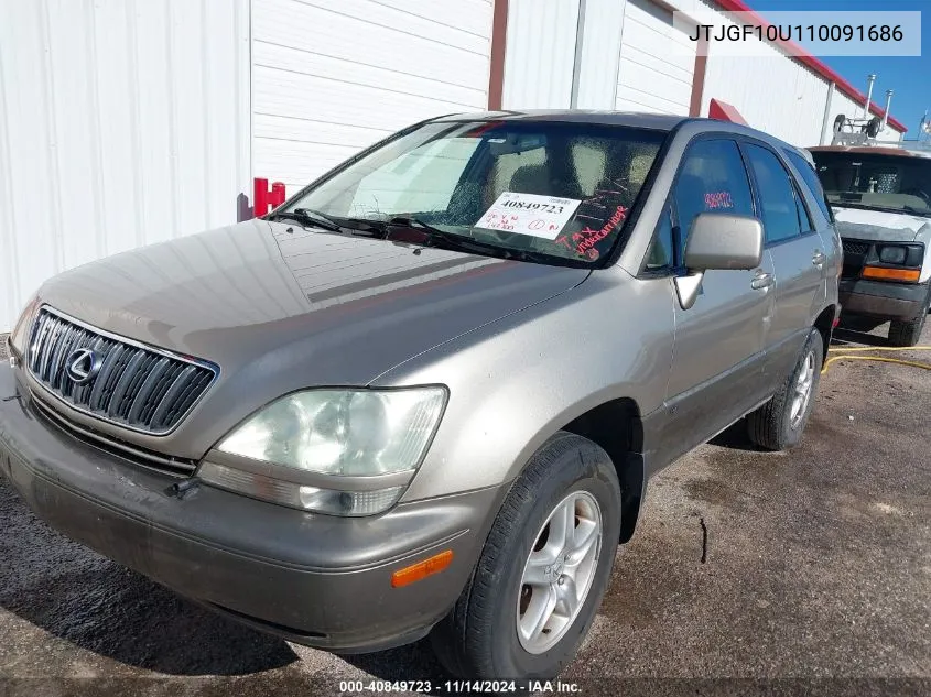 2001 Lexus Rx 300 VIN: JTJGF10U110091686 Lot: 40849723