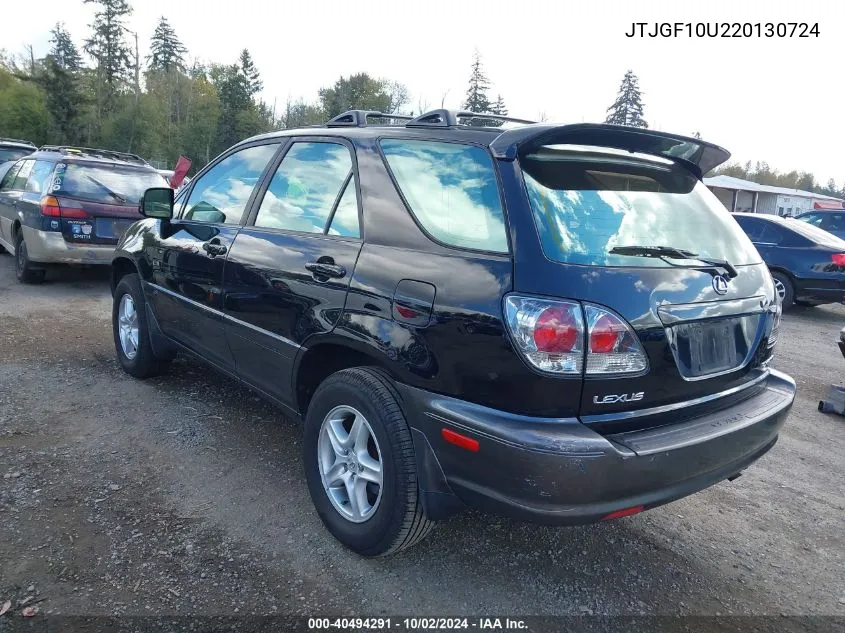 2002 Lexus Rx 300 VIN: JTJGF10U220130724 Lot: 40494291