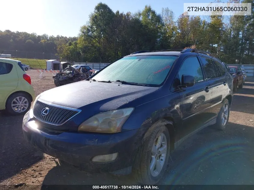 2005 Lexus Rx 330 VIN: 2T2HA31U65C060330 Lot: 40517738