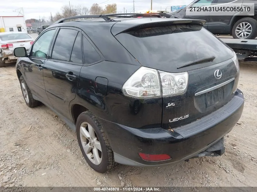 2005 Lexus Rx 330 VIN: 2T2HA31U45C065610 Lot: 40745978