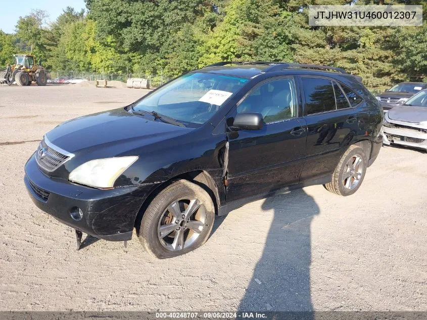 2006 Lexus Rx 400H 400 VIN: JTJHW31U460012307 Lot: 40248707