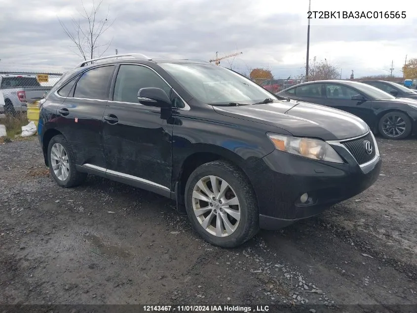 2010 Lexus Rx 350 VIN: 2T2BK1BA3AC016565 Lot: 12143467