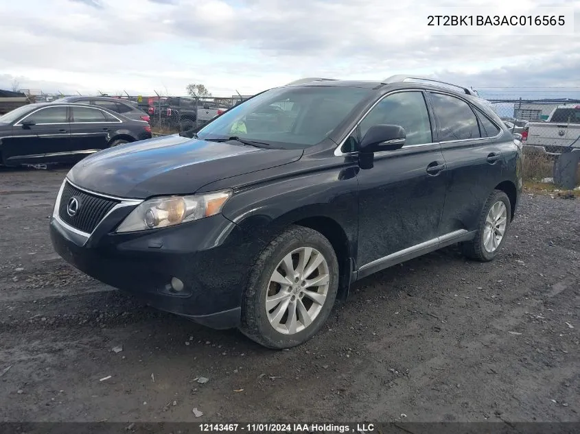 2010 Lexus Rx 350 VIN: 2T2BK1BA3AC016565 Lot: 12143467