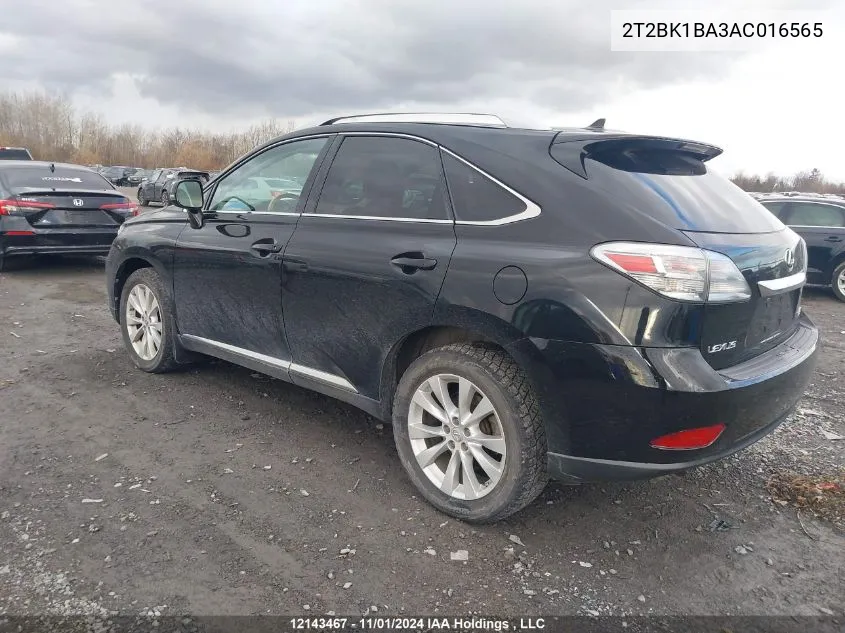 2010 Lexus Rx 350 VIN: 2T2BK1BA3AC016565 Lot: 12143467