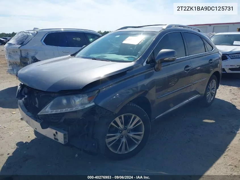 2013 Lexus Rx 350 VIN: 2T2ZK1BA9DC125731 Lot: 40276953