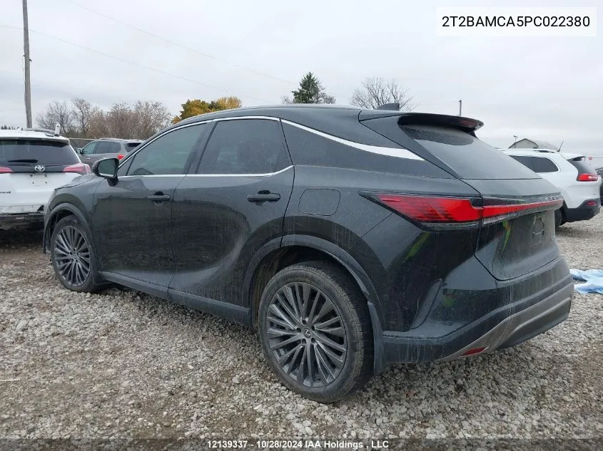 2023 Lexus Rx 350 VIN: 2T2BAMCA5PC022380 Lot: 12139337