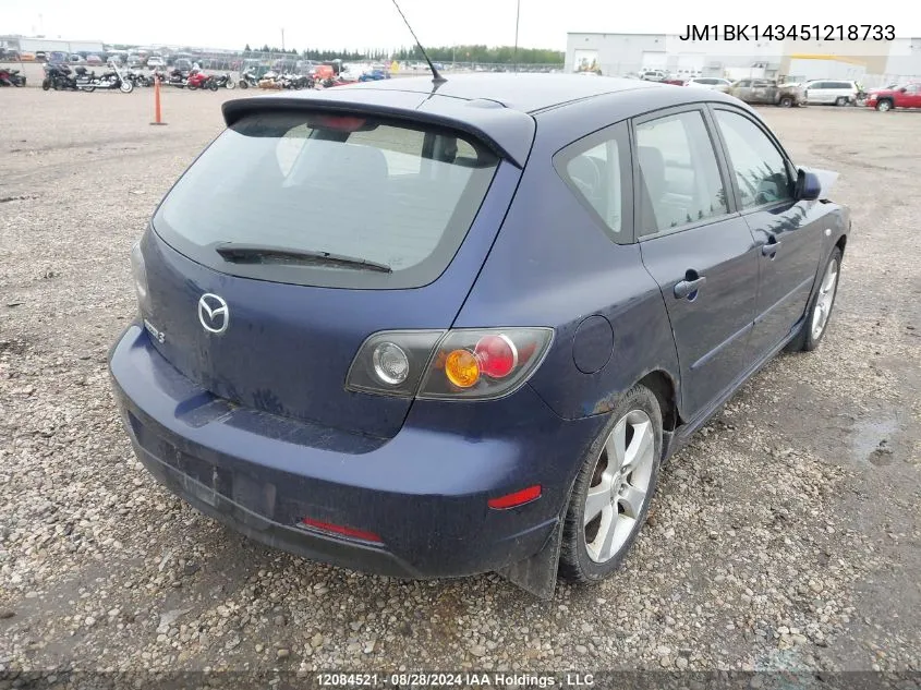 2005 Mazda Mazda3 VIN: JM1BK143451218733 Lot: 12084521