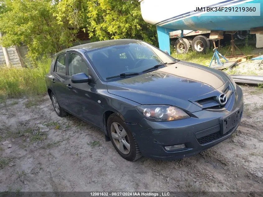 2009 Mazda Mazda3 VIN: JM1BK34F291219360 Lot: 12081632