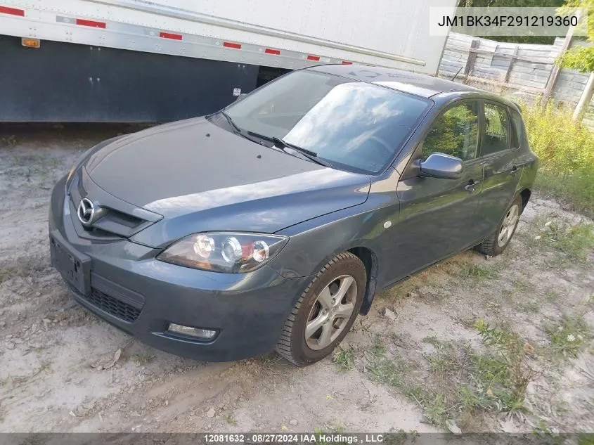 2009 Mazda Mazda3 VIN: JM1BK34F291219360 Lot: 12081632