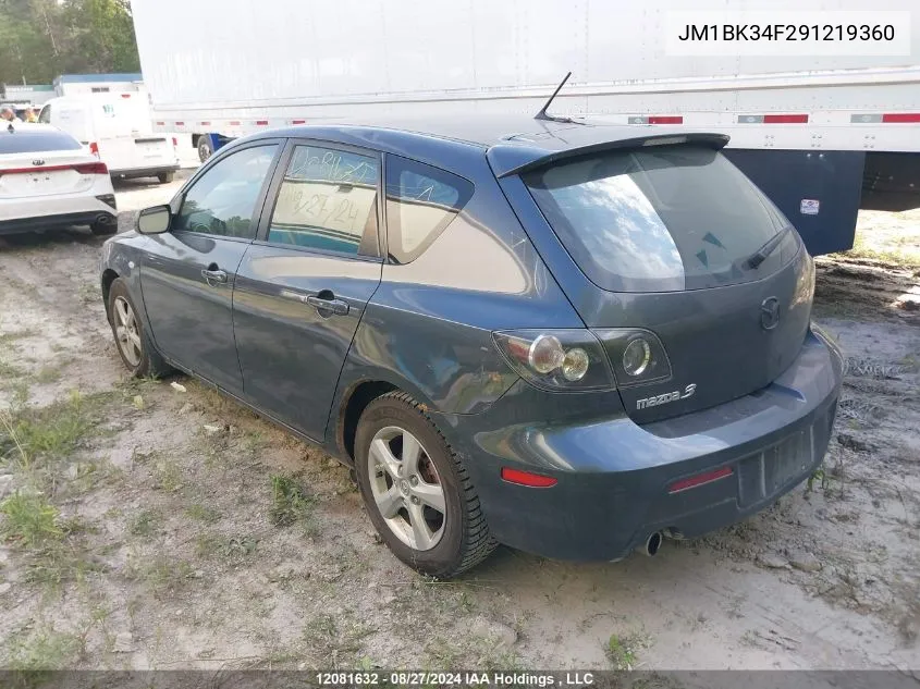 2009 Mazda Mazda3 VIN: JM1BK34F291219360 Lot: 12081632