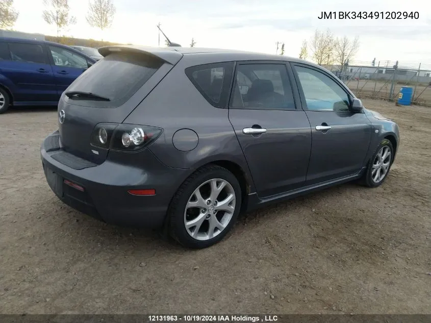 2009 Mazda Mazda3 VIN: JM1BK343491202940 Lot: 12131963