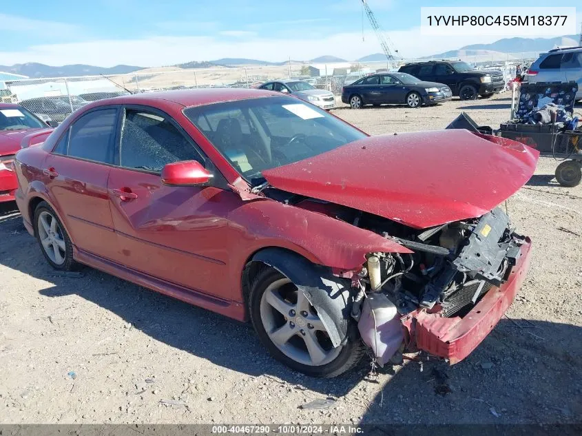 2005 Mazda 6 I VIN: 1YVHP80C455M18377 Lot: 40467290