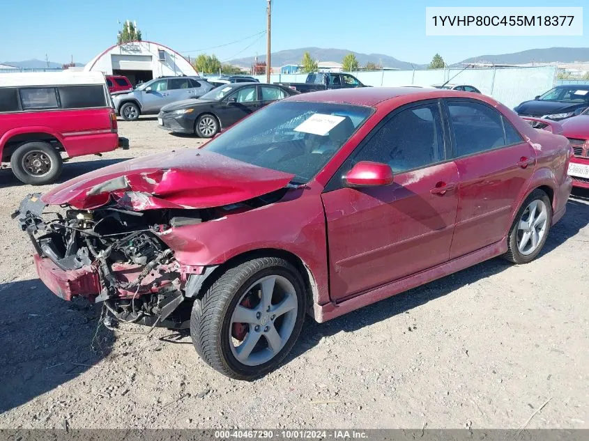 1YVHP80C455M18377 2005 Mazda 6 I