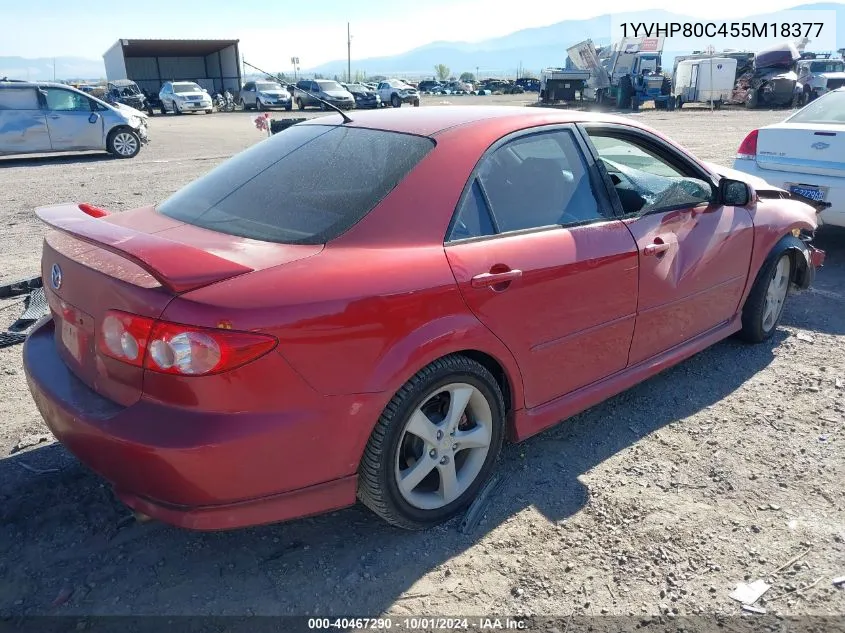 2005 Mazda 6 I VIN: 1YVHP80C455M18377 Lot: 40467290