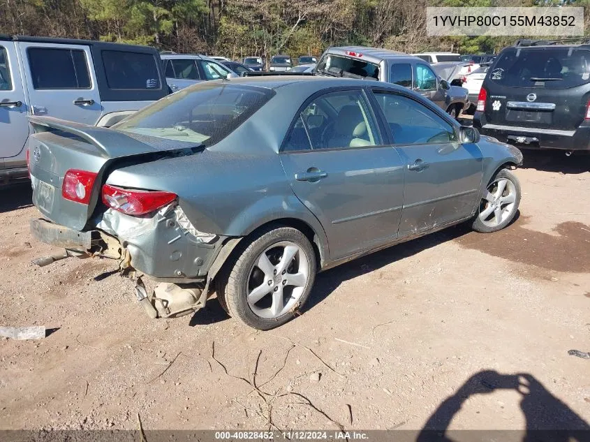 2005 Mazda Mazda6 I Sport VIN: 1YVHP80C155M43852 Lot: 40828452