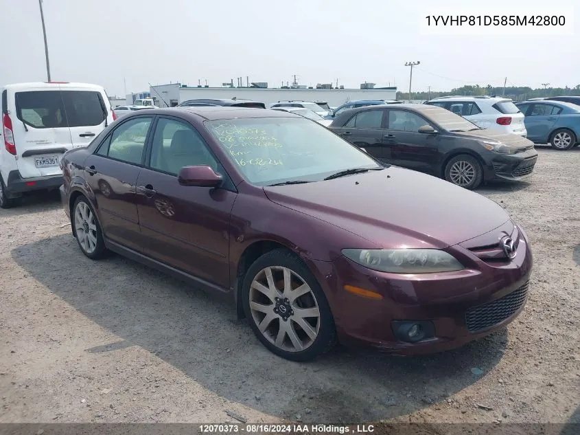 2008 Mazda 6 S VIN: 1YVHP81D585M42800 Lot: 12070373