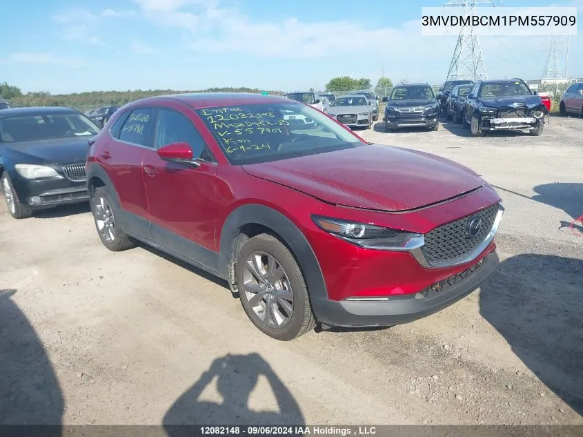 2023 Mazda Cx-30 VIN: 3MVDMBCM1PM557909 Lot: 12082148