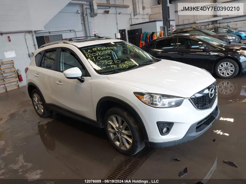 2014 Mazda Cx-5 VIN: JM3KE4DY7E0390210 Lot: 12076089