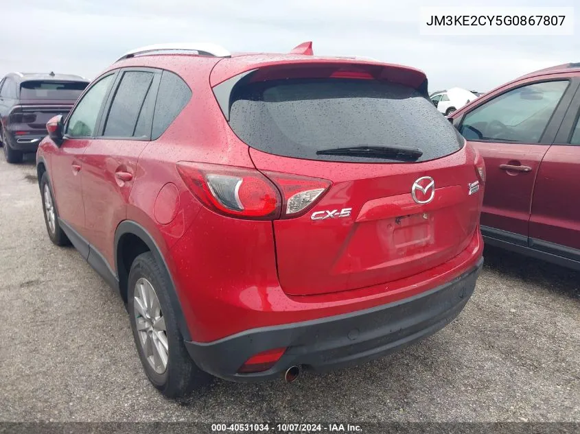 2016 Mazda Cx-5 Touring VIN: JM3KE2CY5G0867807 Lot: 40531034