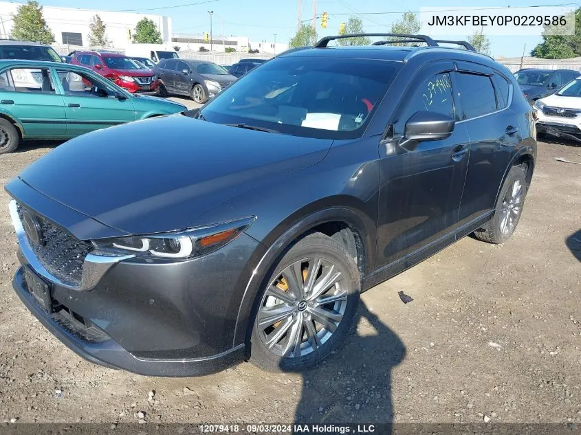 2023 Mazda Cx-5 Signature VIN: JM3KFBEY0P0229586 Lot: 12079418