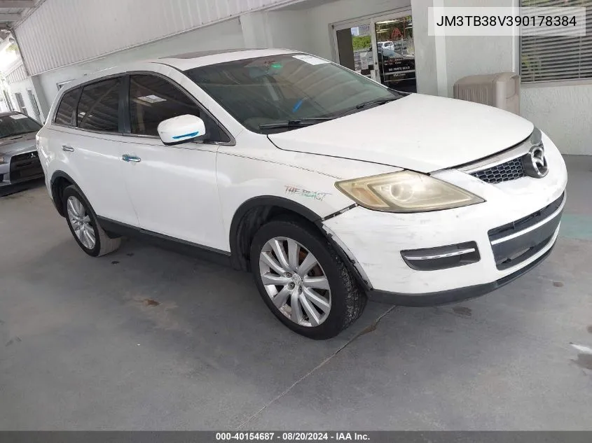 2009 Mazda Cx-9 Touring VIN: JM3TB38V390178384 Lot: 40154687