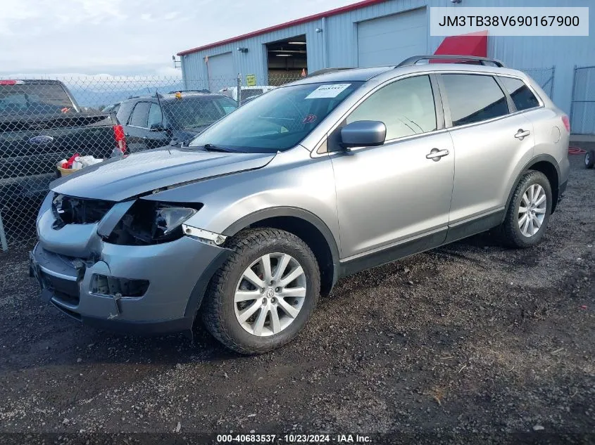 2009 Mazda Cx-9 Touring VIN: JM3TB38V690167900 Lot: 40683537