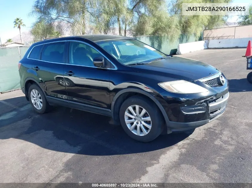 2009 Mazda Cx-9 Touring VIN: JM3TB28A290166525 Lot: 40685897