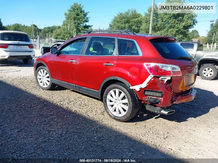 2010 Mazda Cx-9 Grand Touring VIN: JM3TB2MA6A0229801 Lot: 40131774