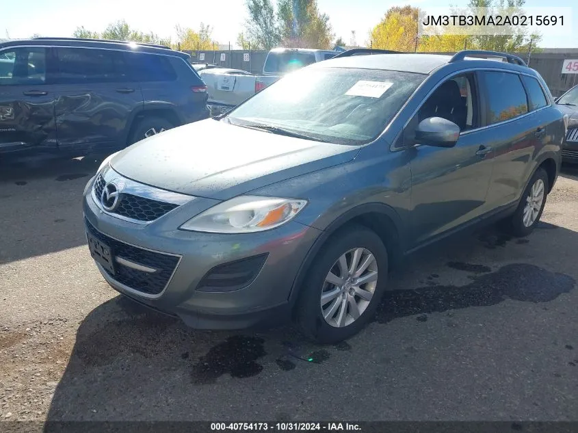 2010 Mazda Cx-9 Touring VIN: JM3TB3MA2A0215691 Lot: 40754173