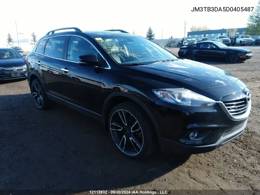 JM3TB3DA5D0405487 2013 Mazda Cx-9