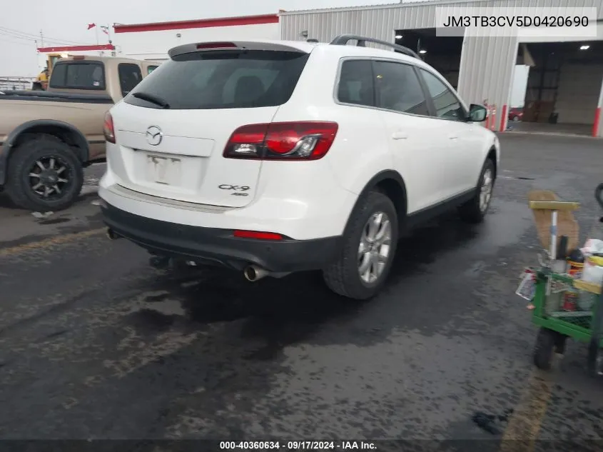 2013 Mazda Cx-9 Touring VIN: JM3TB3CV5D0420690 Lot: 40360634