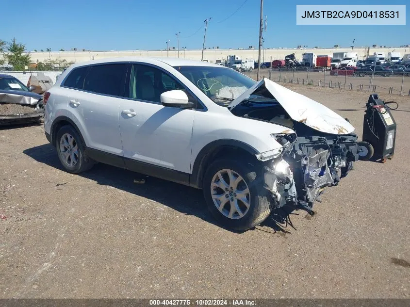 JM3TB2CA9D0418531 2013 Mazda Cx-9 Touring