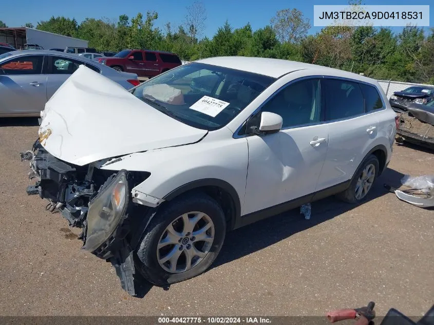 2013 Mazda Cx-9 Touring VIN: JM3TB2CA9D0418531 Lot: 40427775