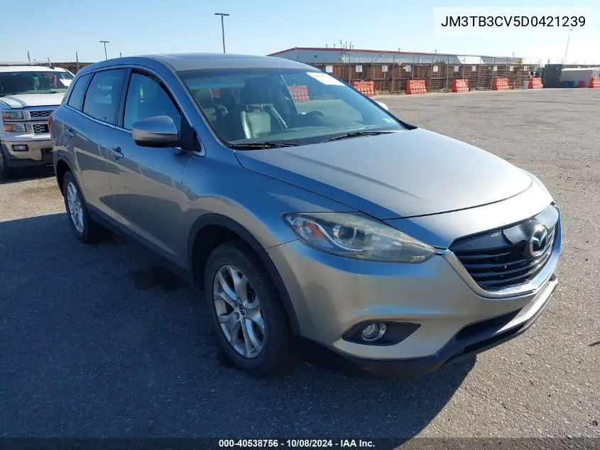 2013 Mazda Cx-9 Touring VIN: JM3TB3CV5D0421239 Lot: 40538756