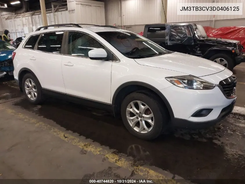 2013 Mazda Cx-9 Touring VIN: JM3TB3CV3D0406125 Lot: 40744820