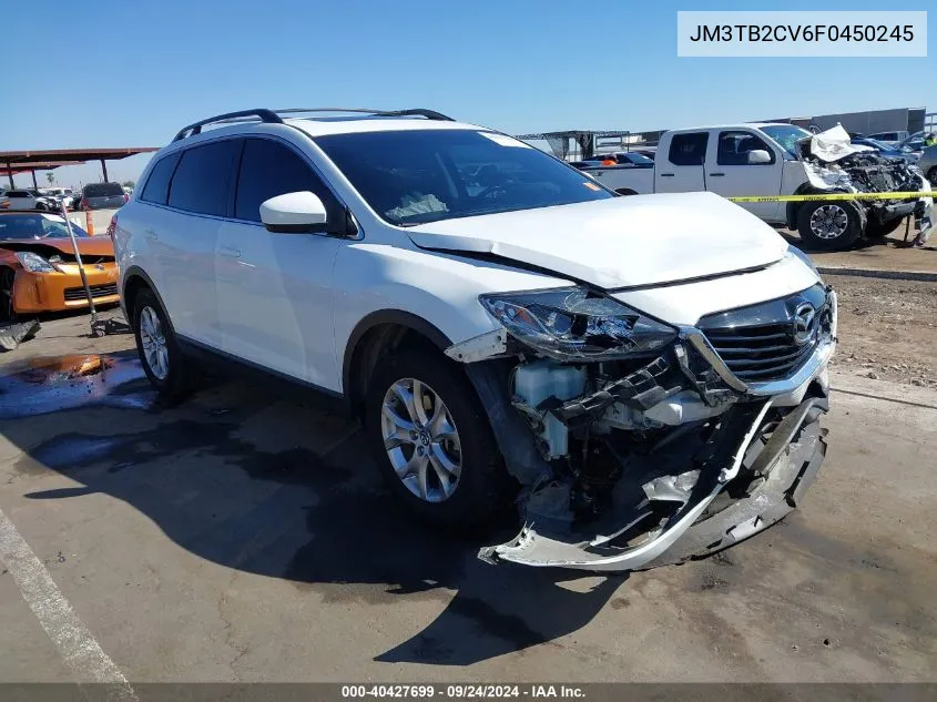 2015 Mazda Cx-9 Touring VIN: JM3TB2CV6F0450245 Lot: 40427699