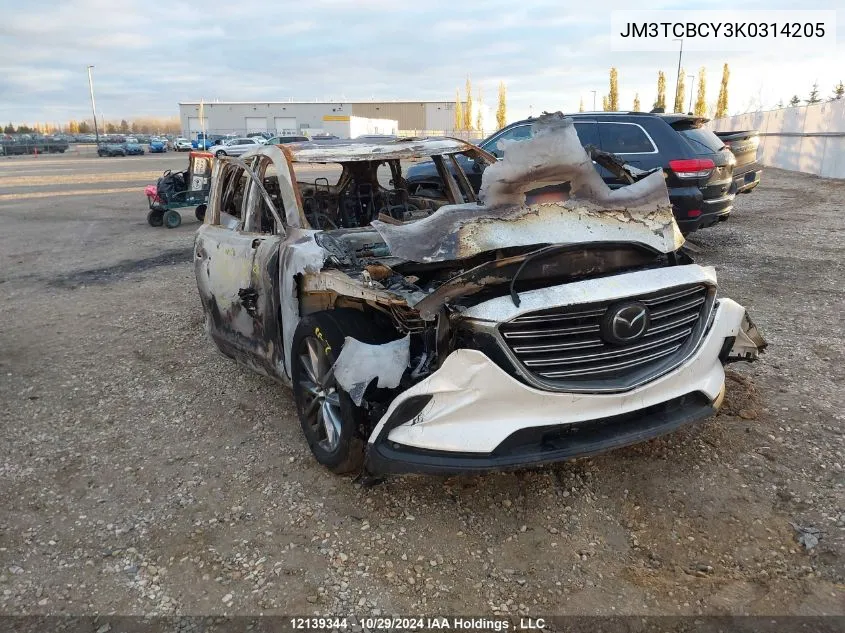 2019 Mazda Cx-9 VIN: JM3TCBCY3K0314205 Lot: 12139344