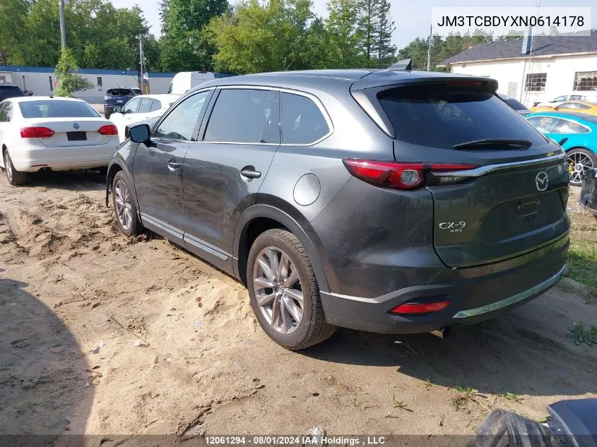 2022 Mazda Cx-9 VIN: JM3TCBDYXN0614178 Lot: 12061294