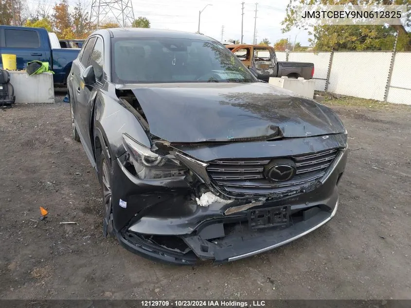 2022 Mazda Cx-9 VIN: JM3TCBEY9N0612825 Lot: 12129709