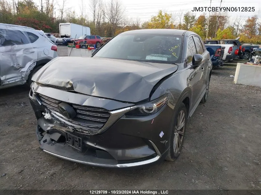 2022 Mazda Cx-9 VIN: JM3TCBEY9N0612825 Lot: 12129709