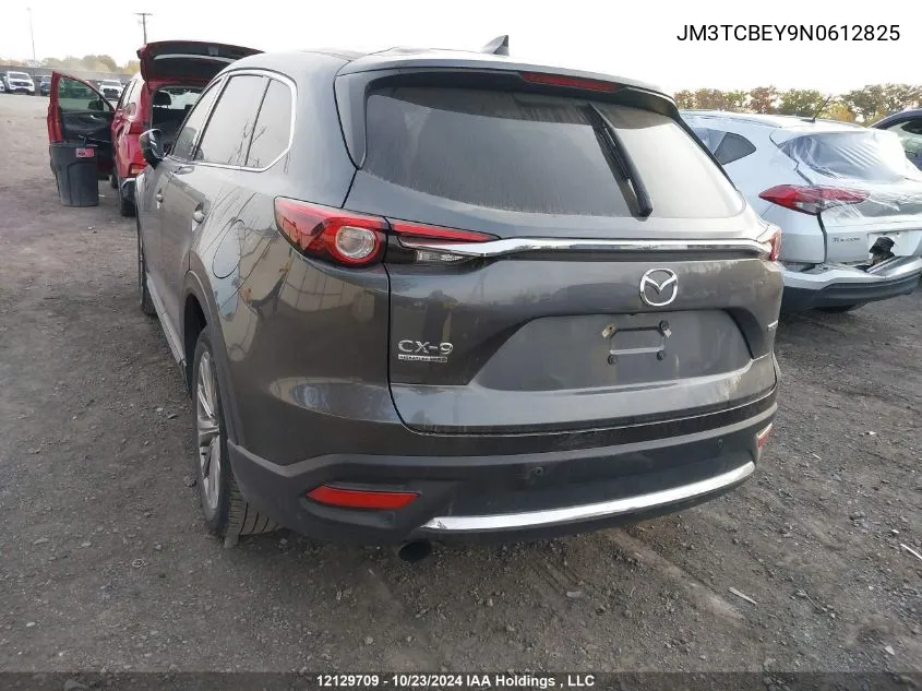 2022 Mazda Cx-9 VIN: JM3TCBEY9N0612825 Lot: 12129709