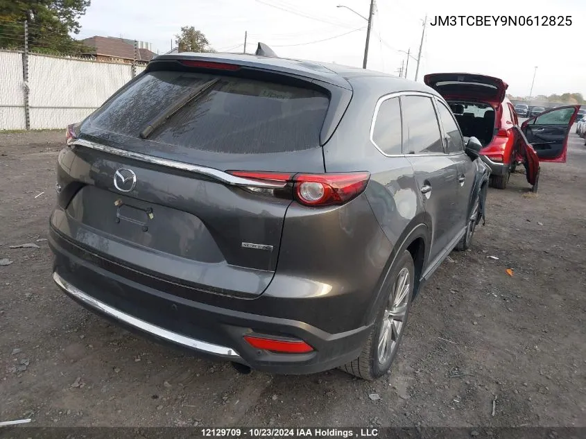 2022 Mazda Cx-9 VIN: JM3TCBEY9N0612825 Lot: 12129709