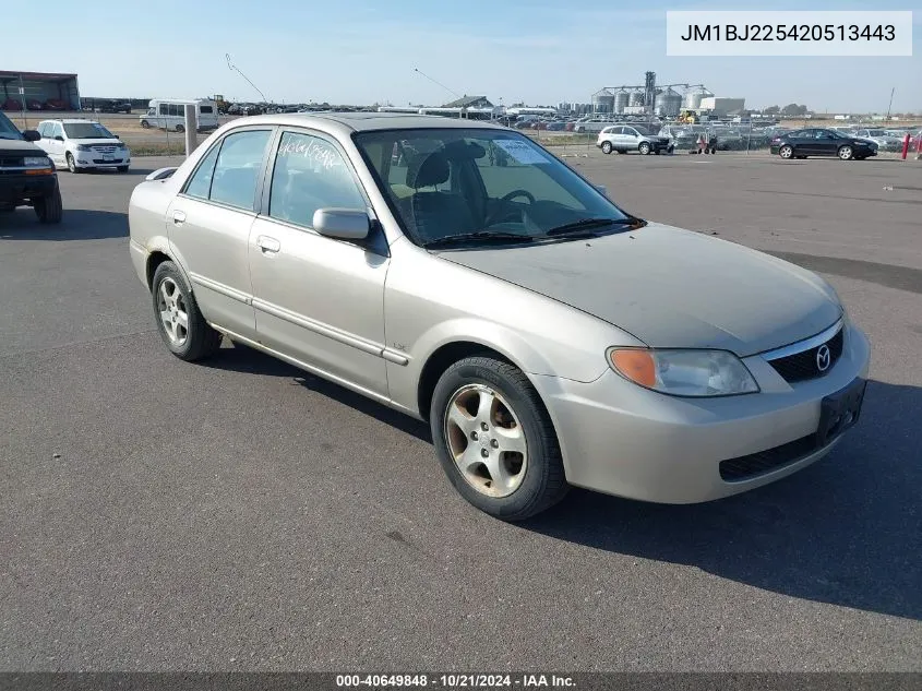 2002 Mazda Protege Dx/Es/Lx VIN: JM1BJ225420513443 Lot: 40649848