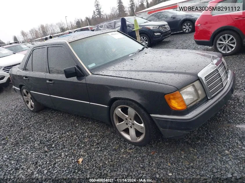 1991 Mercedes-Benz 300 E VIN: WDBEA30D5MB291112 Lot: 40854021