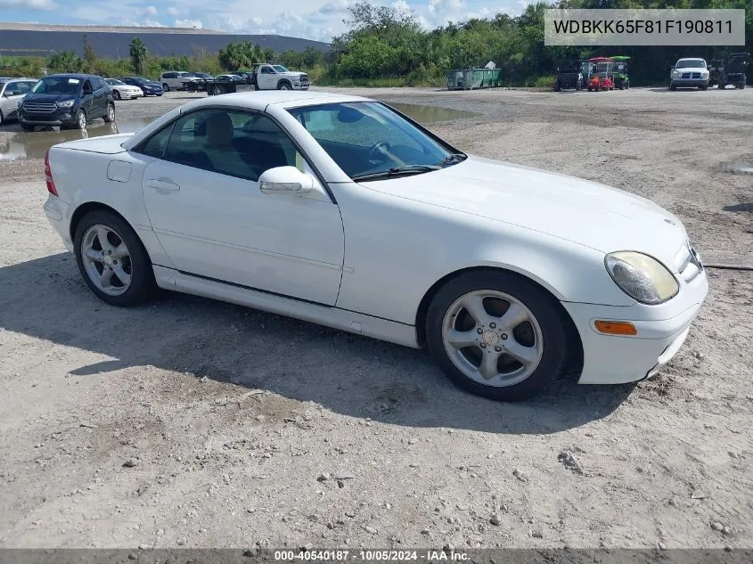 2001 Mercedes-Benz Slk 320 VIN: WDBKK65F81F190811 Lot: 40540187